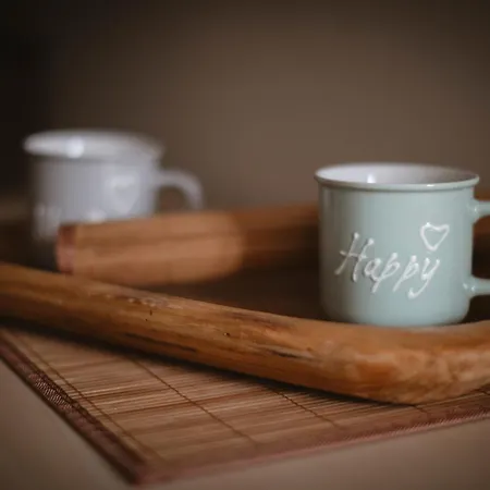 Panzió Valentina Versilia Viareggio